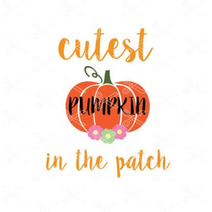 free cutest pumpkin in the patch svg