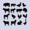 Farm animals – horse, pig, cow, chicken, turkey, sheep SVG and DXF Cut files