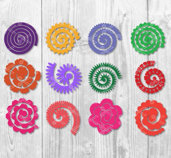 Rolled Paper Flowers SVG