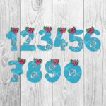 Moana Numbers SVG PNG DXF Cut Files