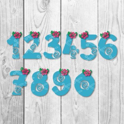 MOANA-NUMBERS-SVG