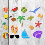Sea Shells SVG DXF Bundle - Summer SVG