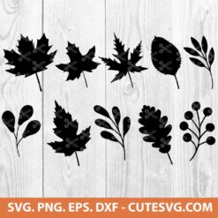 Fall Leaves SVG