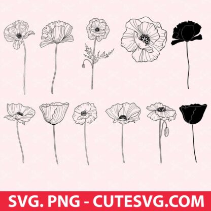Poppy Flowers SVG