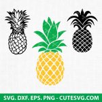 Pineapple SVG Bundle | Pineapple SVG | Summer SVG Bundle | PNG | DXF | EPS | Cut Files | Cricut | Silhouette