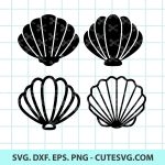 Seashell SVG, Shell SVG Cut File, beach shell svg, Sea shell svg, clipart, vector, icon, eps, png, dxf, Cricut and Silhouette