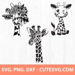 Giraffe SVG | Giraffe SVG Bundle | Animal SVG | Africa SVG | PNG | DXF | EPS | Cut Files for Cricut and Silhouette