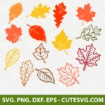 Fall Leaf SVG Bundle, Fall Leaf SVG, Fall Leaves SVG, Fall SVG