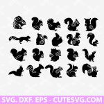 Squirrel SVG Cut File, Squirrel SVG Bundle, Animal SVG File, DXF, EPS, for Cricut and Silhouette