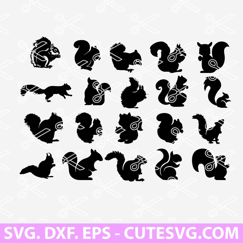 squirrel-svg-cut-file-squirrel-svg-bundle-animal-svg-file-dxf-eps