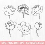 Peony SVG Bundle, Peonies flowers SVG, Peony Clipart, Peony Leaves SVG, Flower SVG, Wedding Peony SVG, PNG, DXF, EPS, Cut Files for Cricut