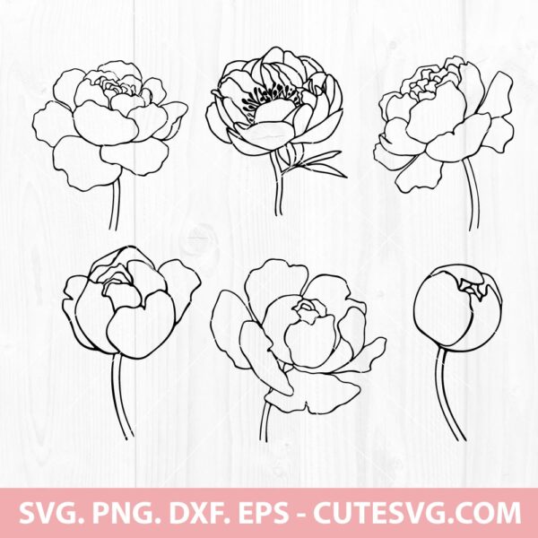 Peony SVG Bundle