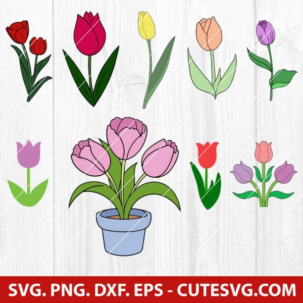 Tulip SVG