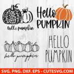 Hello Pumpkin SVG Thanksgiving SVG Fall SVG Autumn SVG PNG DXF EPS Cutting Files for Cricut and Silhouette Instant Digital Download