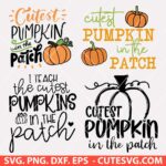 Cutest Pumpkin in the Patch SVG, I Teach The Cutest Pumpkins In The Patch SVG, Baby Halloween SVG, Fall SVG, PNG, DXF, EPS, Cut Files