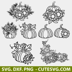 Pumpkin Flower SVG