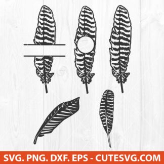 Turkey Feather SVG Bundle