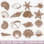 Seashell SVG Bundle, beach clipart, ocean svg, coastal svg, seashell silhouette, shell vector, beach theme, tropical clipart