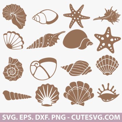 Seashell SVG Bundle