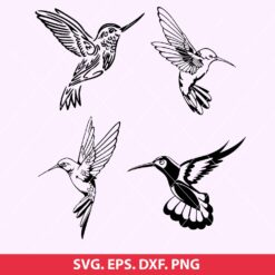 Hummingbird SVG Bundle