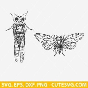 Cicada SVG